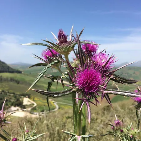 Casa Le Farfalle Apartamento Trapani
